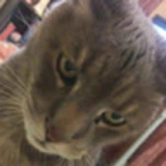 Meet your Posher, Gladys c. - Picture 1 of 1